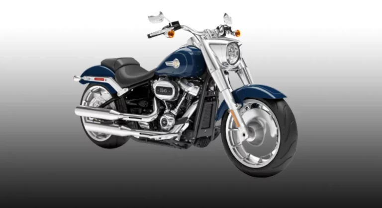 Best Year Harley Fatboy [Selected Top-Notch Models] 
