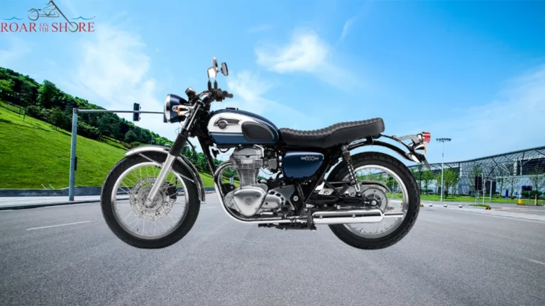 4 Common Kawasaki W800 Problems With Solutions